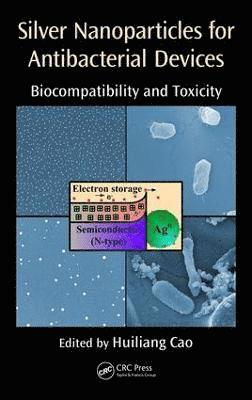 bokomslag Silver Nanoparticles for Antibacterial Devices