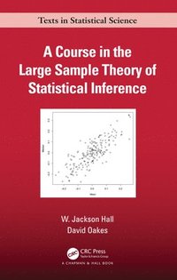 bokomslag A Course in the Large Sample Theory of Statistical Inference