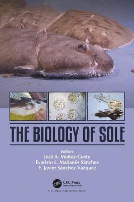 bokomslag The Biology of Sole