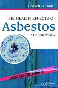 bokomslag The Health Effects of Asbestos