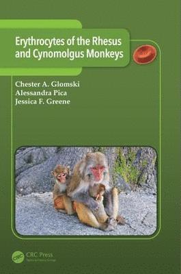 bokomslag Erythrocytes of the Rhesus and Cynomolgus Monkeys