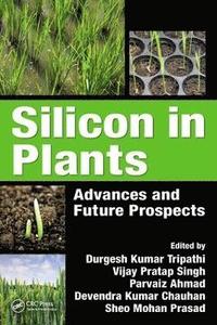 bokomslag Silicon in Plants