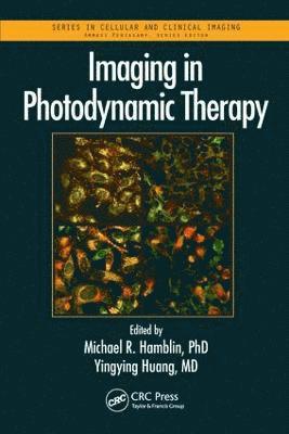 bokomslag Imaging in Photodynamic Therapy