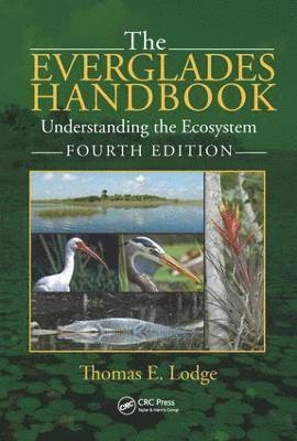 bokomslag The Everglades Handbook