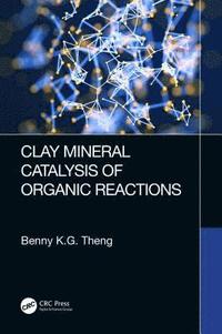 bokomslag Clay Mineral Catalysis of Organic Reactions