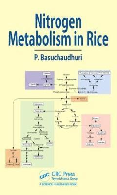 bokomslag Nitrogen Metabolism in Rice