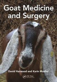 bokomslag Goat Medicine and Surgery