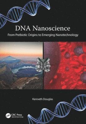 bokomslag DNA Nanoscience