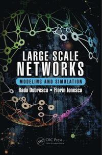 bokomslag Large Scale Networks