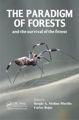 The Paradigm of Forests and the Survival of the Fittest 1