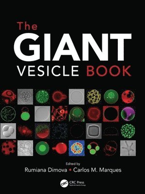 bokomslag The Giant Vesicle Book