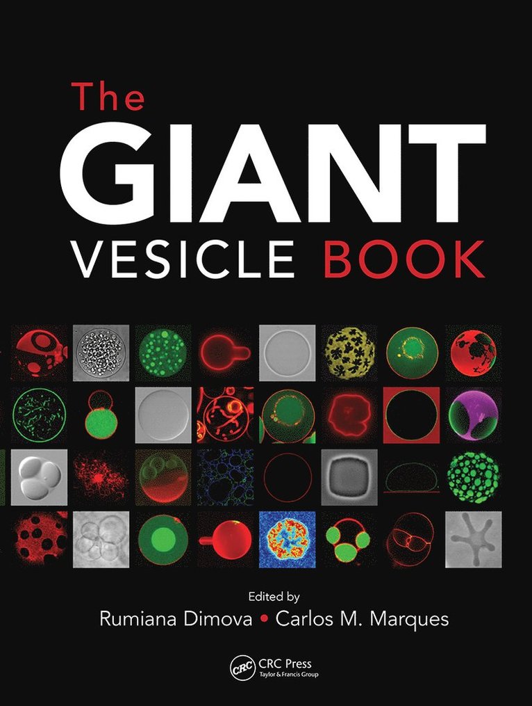 Giant Vesicle Book