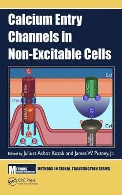 bokomslag Calcium Entry Channels in Non-Excitable Cells