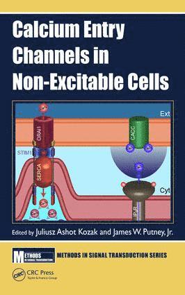 Juliusz Ashot Kozak, Jr. Putney - Calcium Entry Channels in Non-Excitable Cells, Inbunden