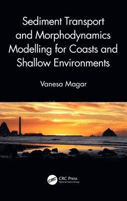 Sediment Transport and Morphodynamics Modelling for Coasts and Shallow Environments 1