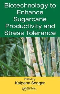 bokomslag Biotechnology to Enhance Sugarcane Productivity and Stress Tolerance