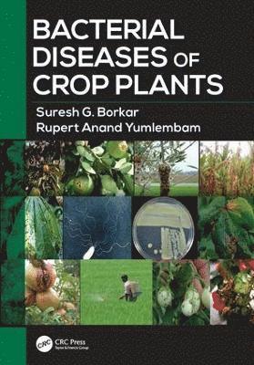 Bacterial Diseases of Crop Plants 1