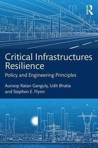 bokomslag Critical Infrastructures Resilience