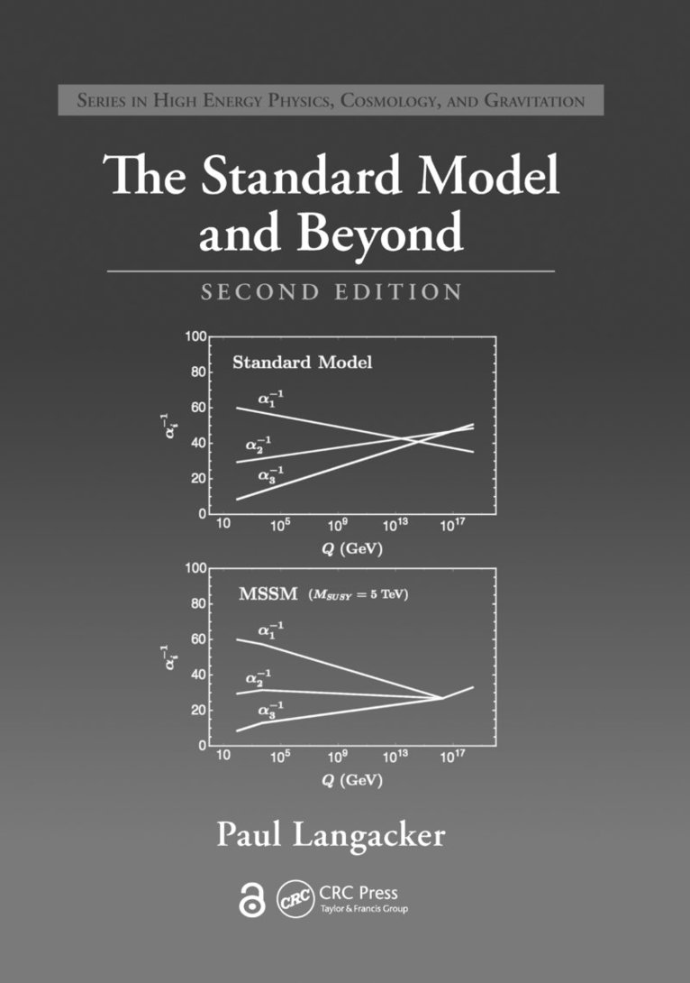 Paul Langacker, USA) Langacker, Paul (Institute for Advanced Study, Princeton, New Jersey - Standard Model and Beyond, Inbunden