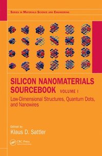 bokomslag Silicon Nanomaterials Sourcebook