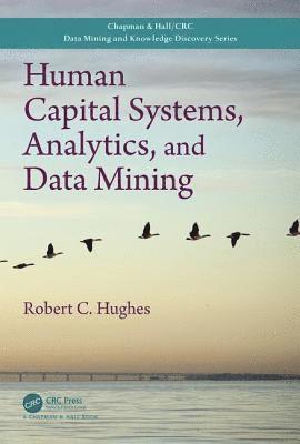 bokomslag Human Capital Systems, Analytics, and Data Mining