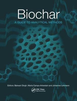 bokomslag Biochar