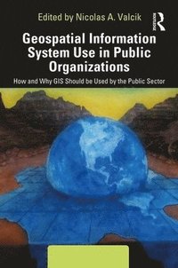 bokomslag Geospatial Information System Use in Public Organizations