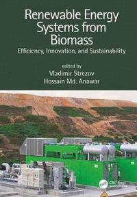 bokomslag Renewable Energy Systems from Biomass