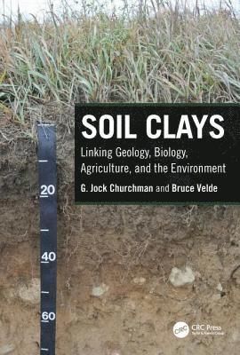 bokomslag Soil Clays