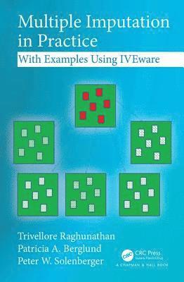 Trivellore Raghunathan, Patricia A. Berglund, Peter W. Solenberger - Multiple Imputation in Practice, Inbunden