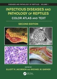 bokomslag Infectious Diseases and Pathology of Reptiles
