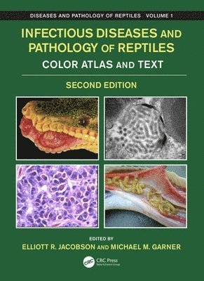Infectious Diseases and Pathology of Reptiles 1