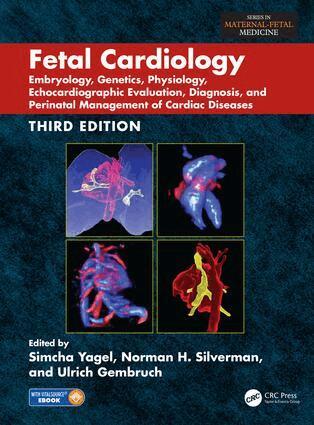 Simcha Yagel, Ulrich Gembruch, Norman H. Silverman - Fetal Cardiology, Inbunden