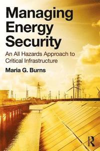 bokomslag Managing Energy Security