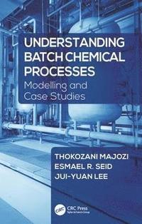 bokomslag Understanding Batch Chemical Processes