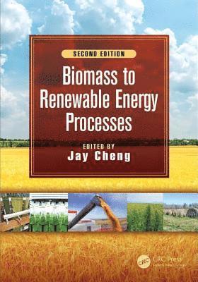 bokomslag Biomass to Renewable Energy Processes