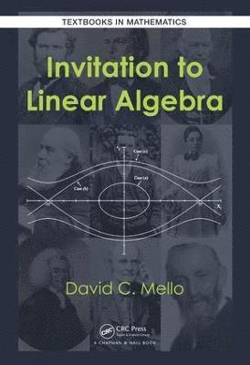 bokomslag Invitation to Linear Algebra