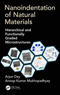 bokomslag Nanoindentation of Natural Materials