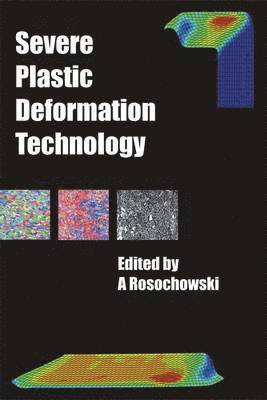 bokomslag Severe Plastic Deformation Technology