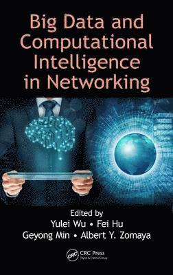 bokomslag Big Data and Computational Intelligence in Networking