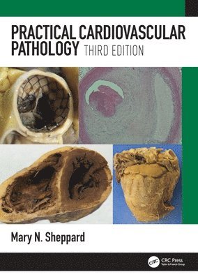 bokomslag Practical Cardiovascular Pathology