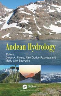 bokomslag Andean Hydrology