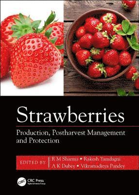 Strawberries 1