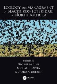 bokomslag Ecology and Management of Blackbirds (Icteridae) in North America