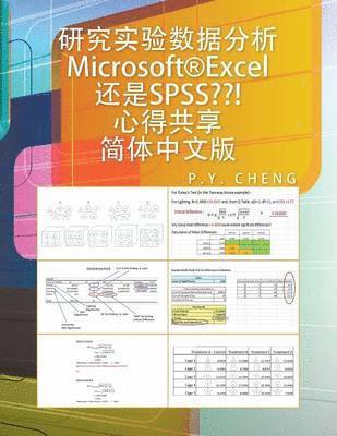 Microsoft(r)Excel SPSS 1