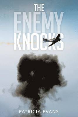 Patricia Evans - Enemy Knocks, Häftad
