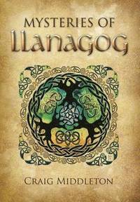 bokomslag Mysteries of Llanagog