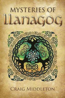 bokomslag Mysteries of Llanagog