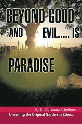 bokomslag Beyond Good and Evil..... Is Paradise