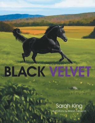 bokomslag Black Velvet